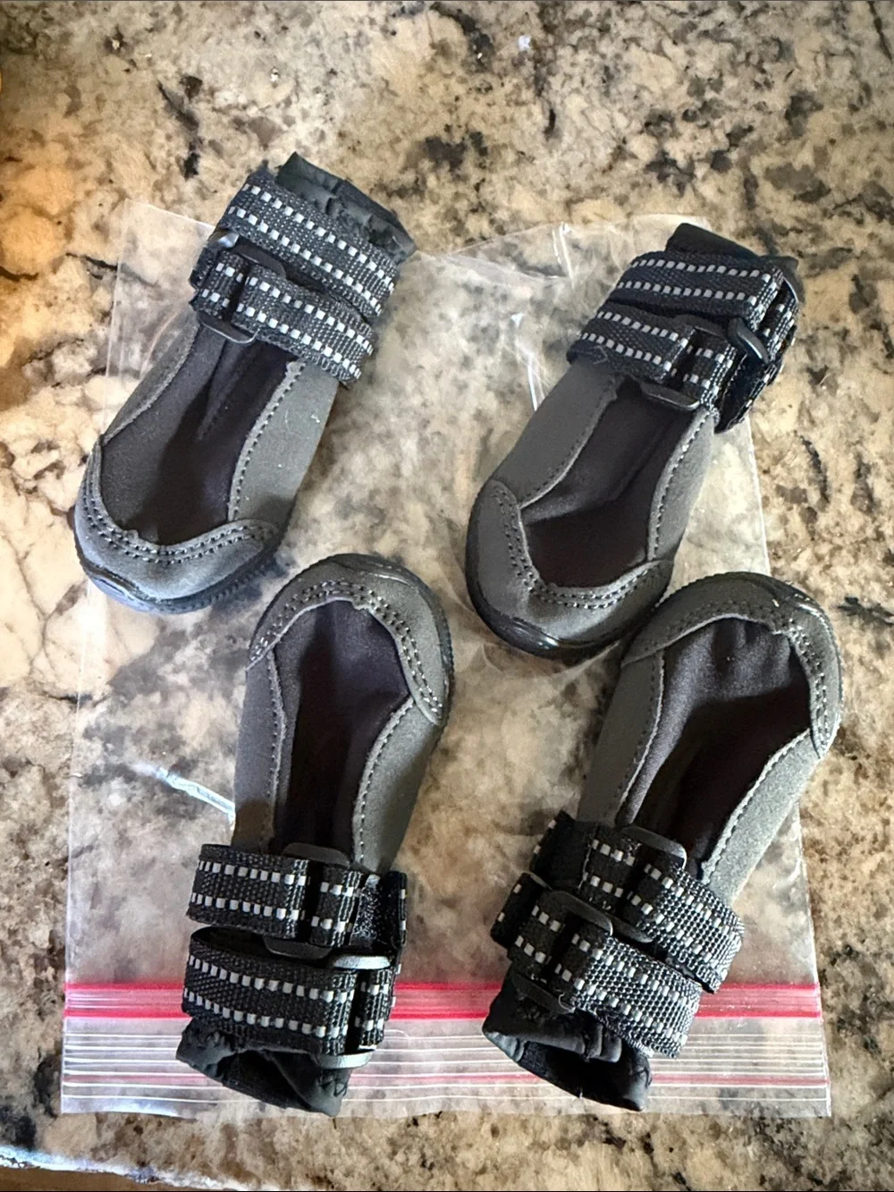 Dog Shoes
